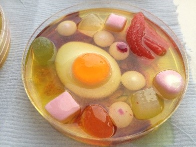 Cell made out of sweets