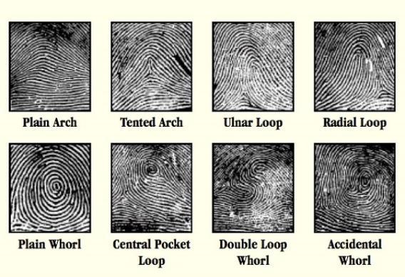 Different types of fingerprints
