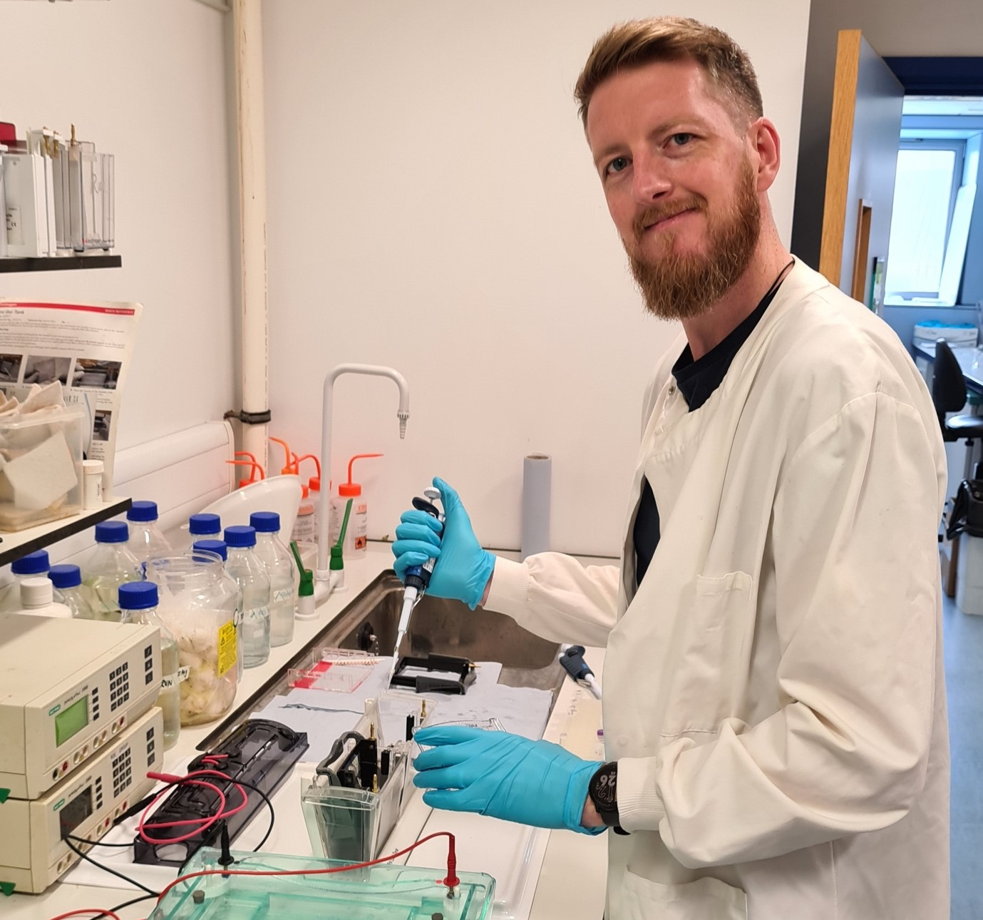 Dr Nicky O'Boyle working in the lab