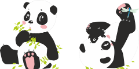 Pandas