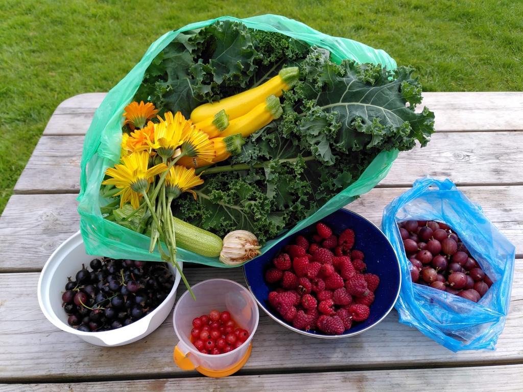 Fruit at Cochno Farm