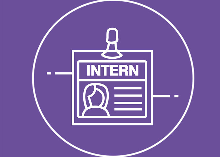 Graphic showing intern badge