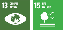 SDG icons 13 and 15