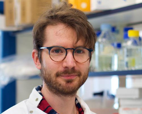 A head and shoulders shot of Dr Adam Fletcher in the lab