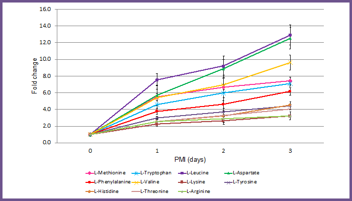 Fold change in signal for amino acids in rat tissue with increasing PMI. Error bars indicate standard deviation between four samples. Two rats were analyzed per time point, from each hind limb, giving four replicate samples at each time point.