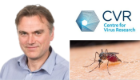 A collage of three images: a profile shot of Prof Sinkins, the CVR logo, and a mosquito