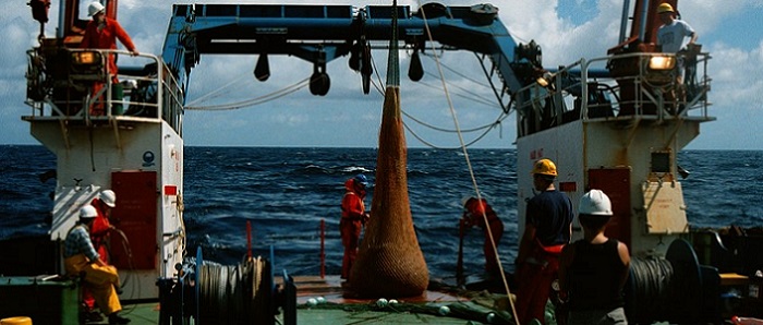 Trawl sampling in the North East Atlantic