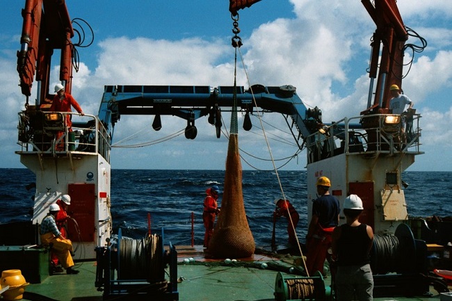 Trawl sampling in the North East Atlantic