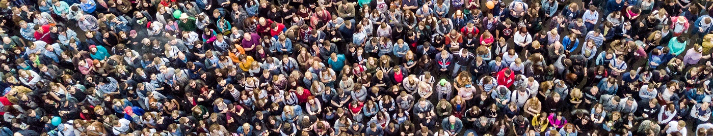 Ariel view of a crowd of people