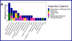 Clinical manifestations using laboratory diagnosis compared to various suspected infections by clinicians. a shows the absolute counts of each diagnosed organism coloured by the suspected organisms