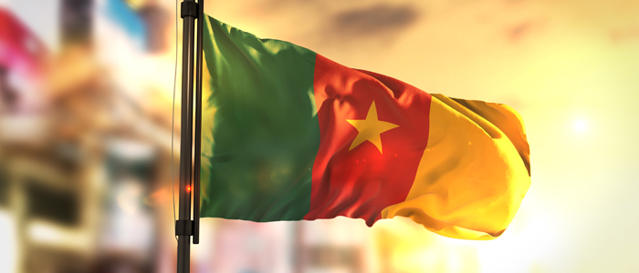 Photo of the Cameroon flag