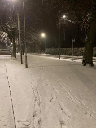 Photo of snowy street in early morning