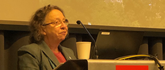 Photo of Beverly Bergman lecturing