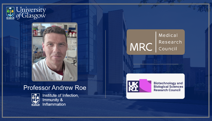 A graphic with Prof Andrew Roe image alongside MRC and BBSRC logos