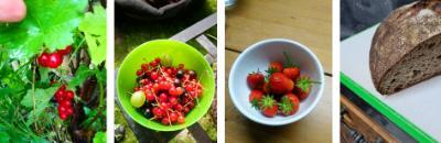 Photo of berries and bread