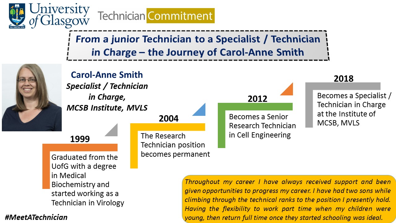 Staff career timeline