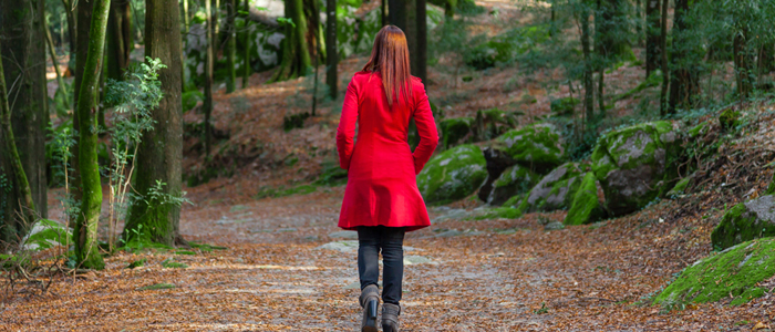 Photo of back view of woman walking through wood 