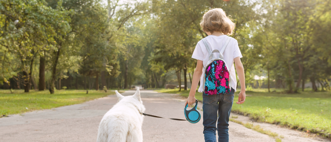 Photo of back view of young person walking a white dog