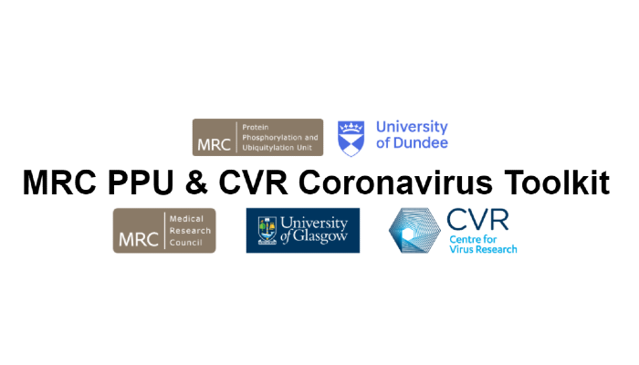 A graphic with the Dundee MRC|PPU and UofG CVR logos