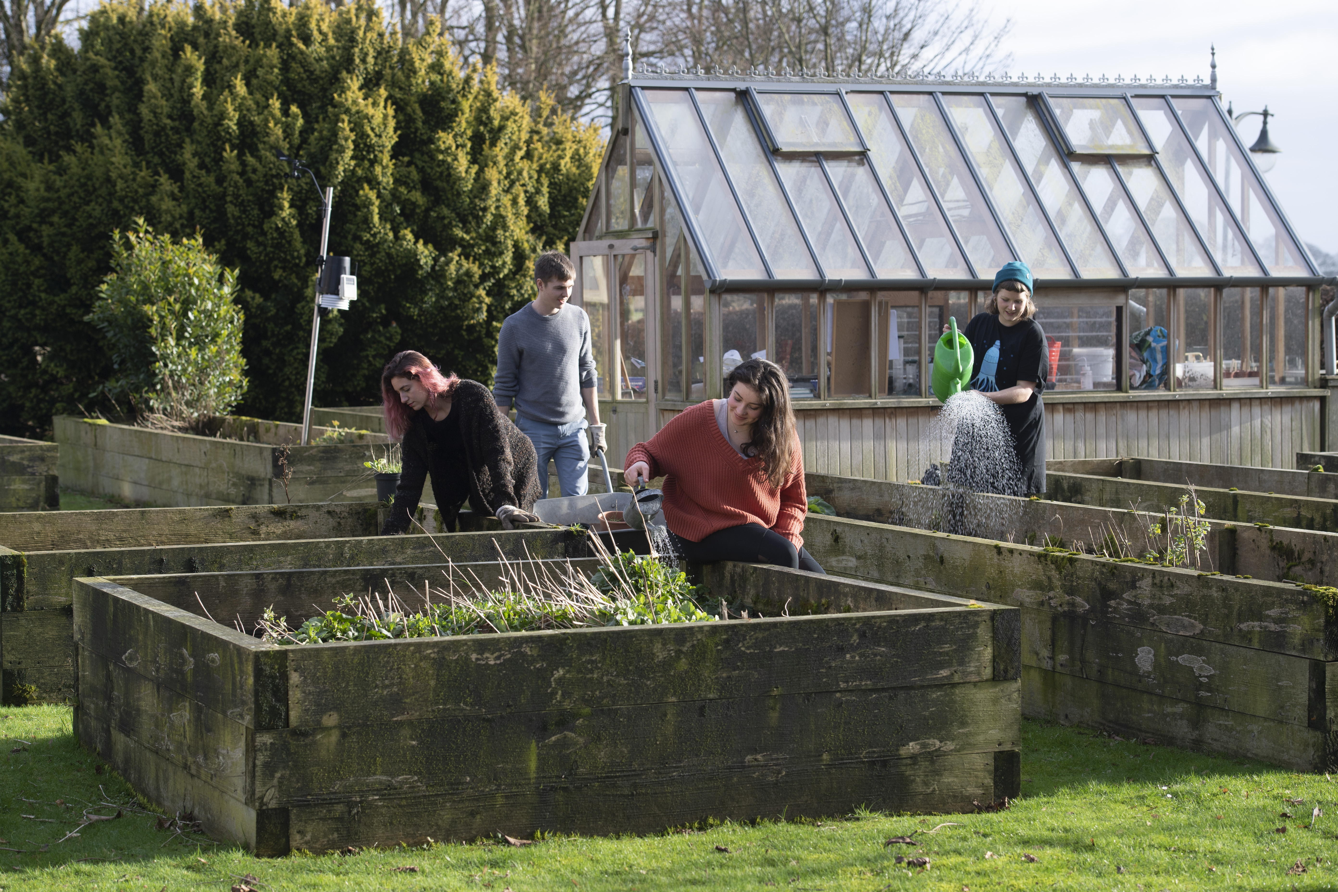 Teaching Garden - students working in garden