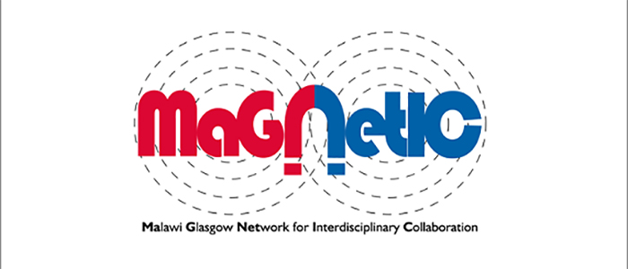 MaGNetIC logo