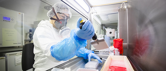 Picture of scientist pipetting