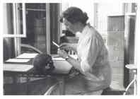 Dr Lunt examining a skull on an archaeological dig.