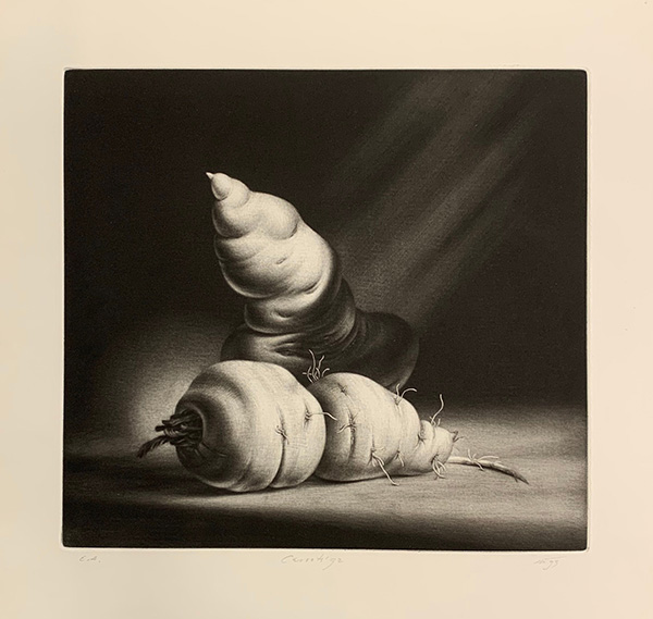 Monochrome print of 2 carrots