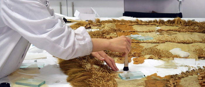 Researcher at work on conservation treatment of barkcloth 