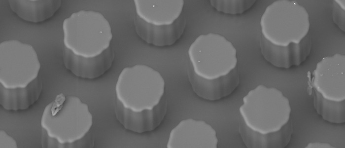 ESEM image of a gecko-inspired adhesive prototype