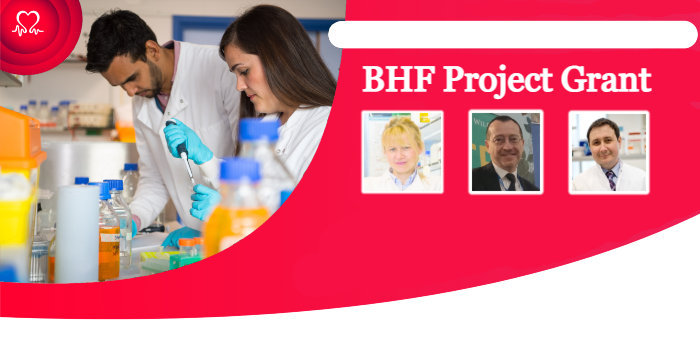 A BHF graphic for the project grant