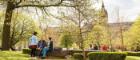 Students sitting under a tree 