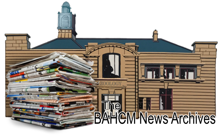News Archive Header picture