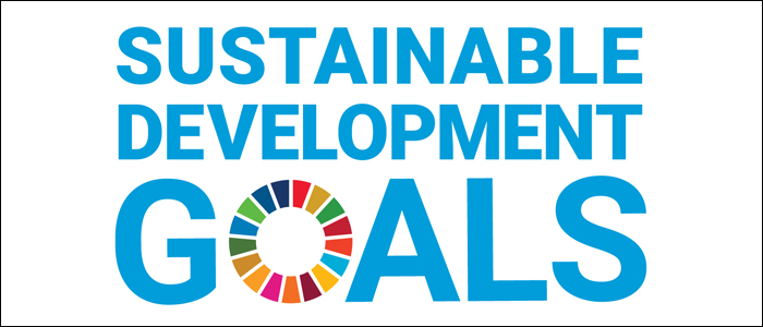 Sustainable Development Goals logo