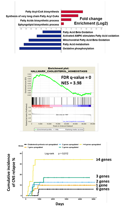 Figure 3: CNS-ALL shows upregulation of lipid and cholesterol biosynthesis, and increased expression of cholesterol synthesis genes is associated with CNS relapse in patients.