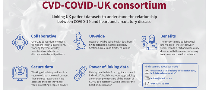 CVD COVID consortium infographic