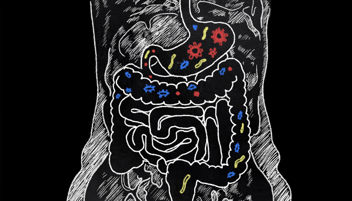 A graphic showing a stylised version of the human intestine against a black background
