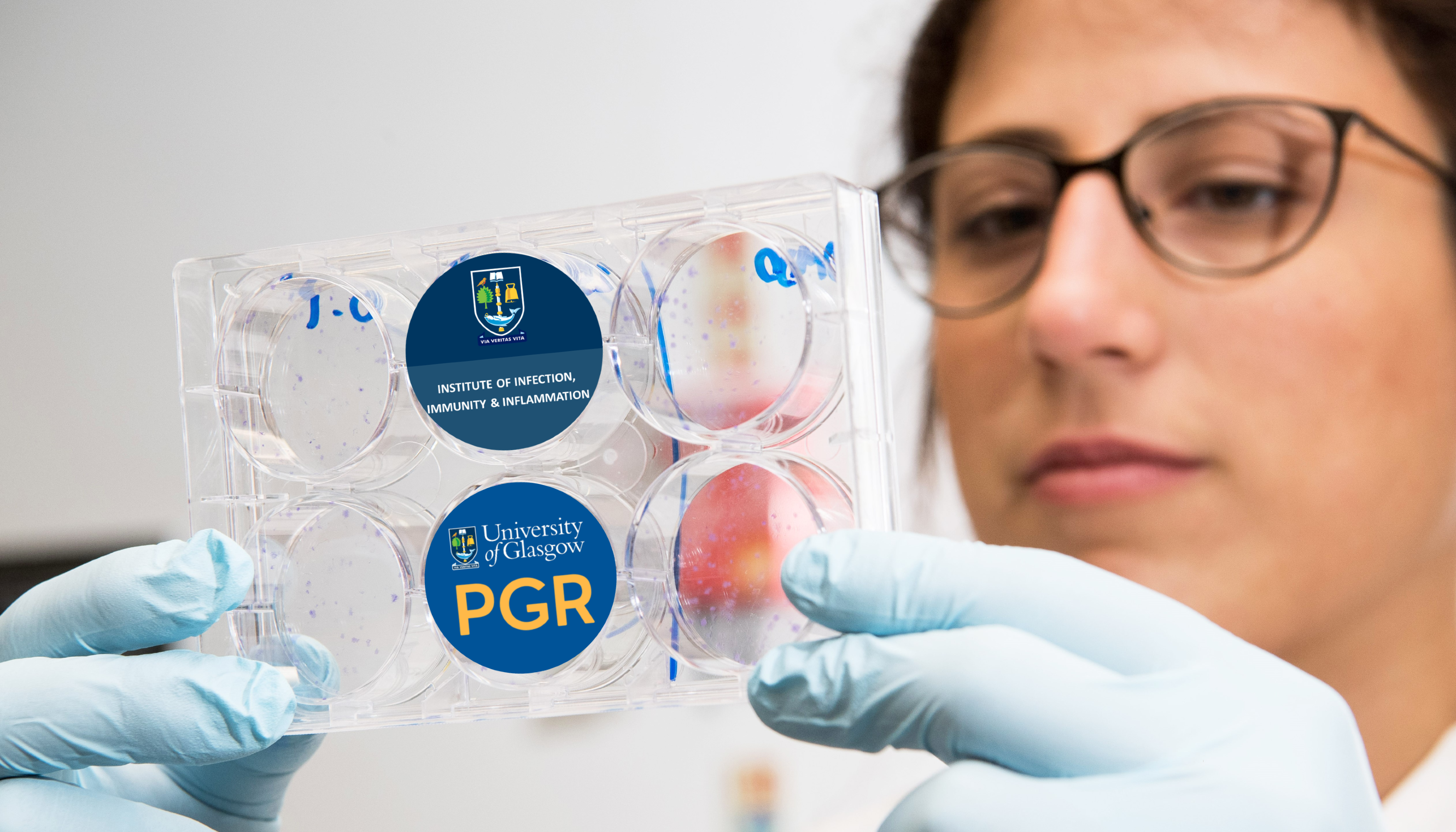 A student holding a dish up to her face with two of the sections filled with graphics of the iii and PGR logos