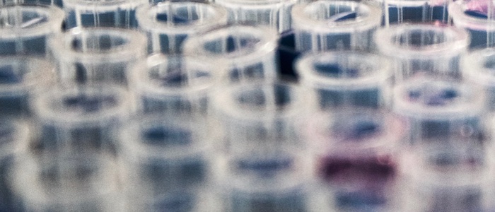 Test tubes