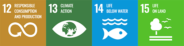 SDG logos for SDGs 12, 13, 14 & 15