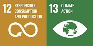 SDG logos for SDGs 12 & 13