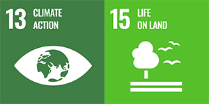 SDG logos for SDGs 13 & 15