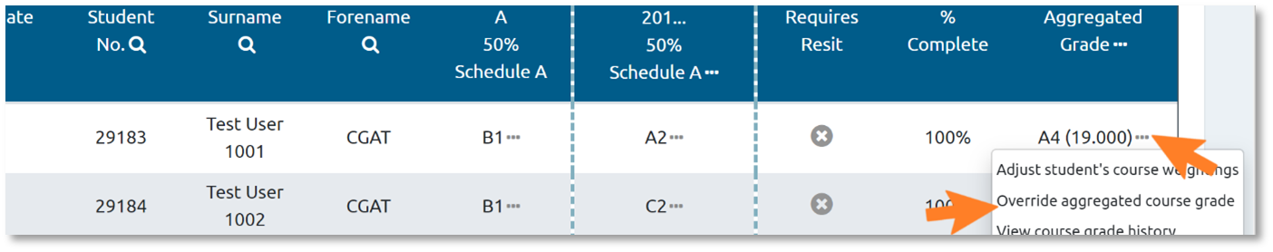 Individual student's grade data, with arrows indicating options ellipsis button and 'Override aggregated course grade' sub menu option