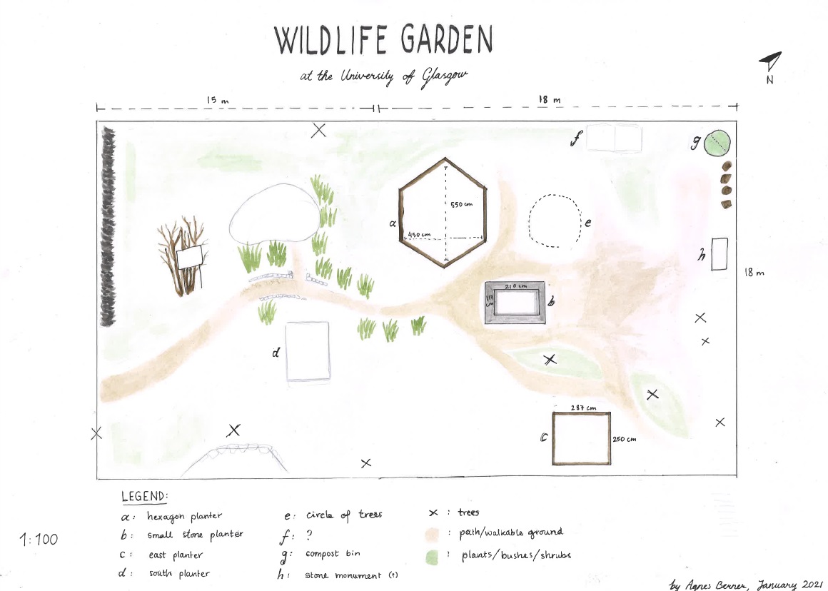 A home drawn map showing the extent and content of the wildlife garden