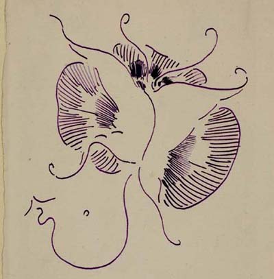 drawing of a butterfly as a signature incorporating the initals JMW