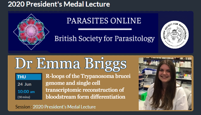 A graphic with the BSP logo, an image of Dr Emma Briggs and the title of her presentation