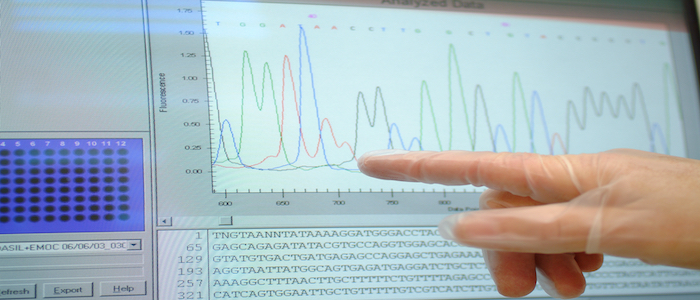 Researchers pointing at DNA sequencing information on a computer