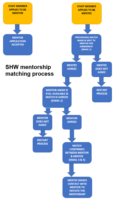Flowchart of School of Health and Wellbeing mentorship matching process