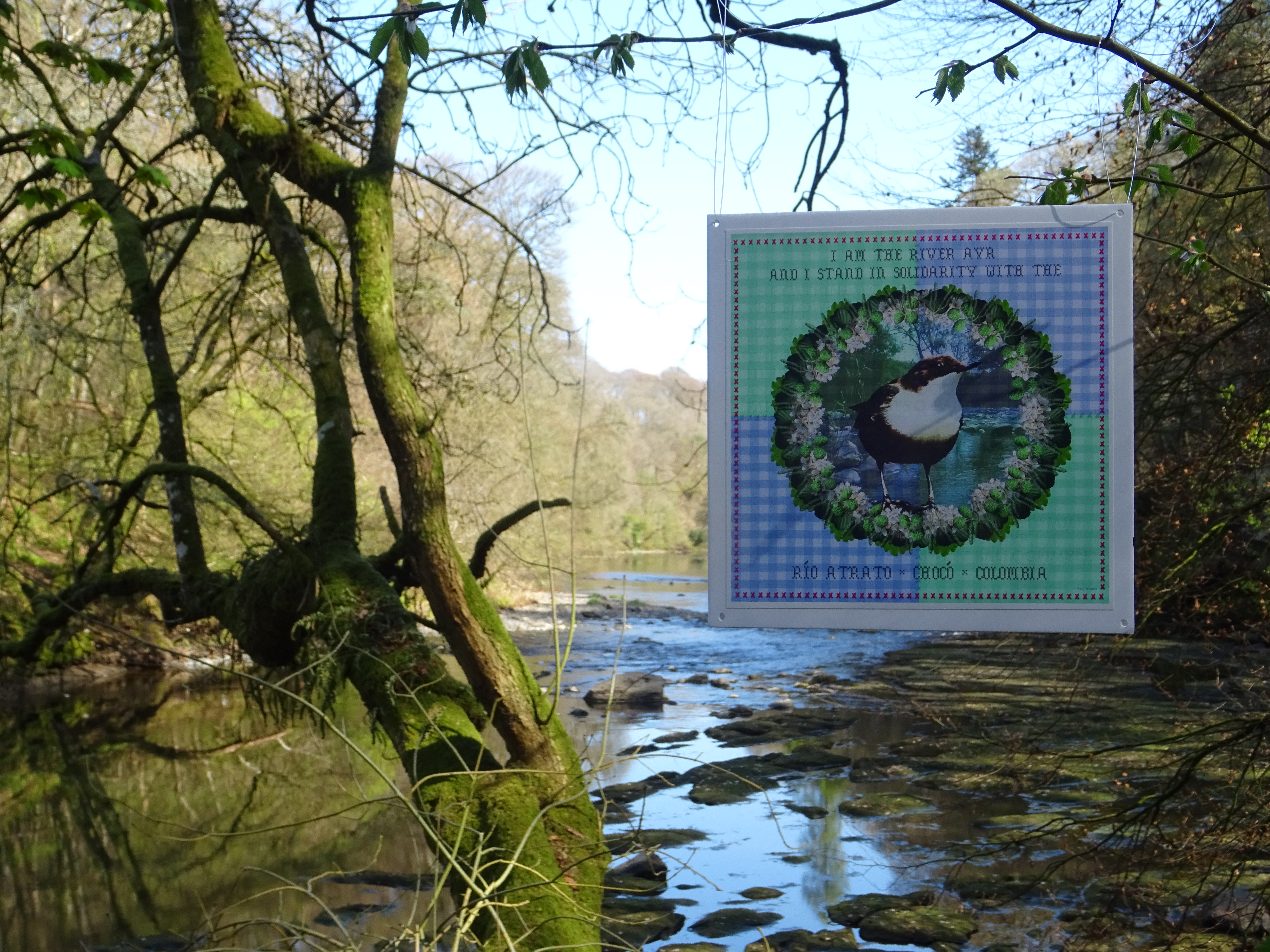 Artwork of a bird at the River Ayr