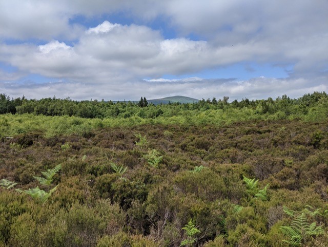 Bright Edge Deep: peatlands in history, cultural heritage, and climate - a round table discussion 